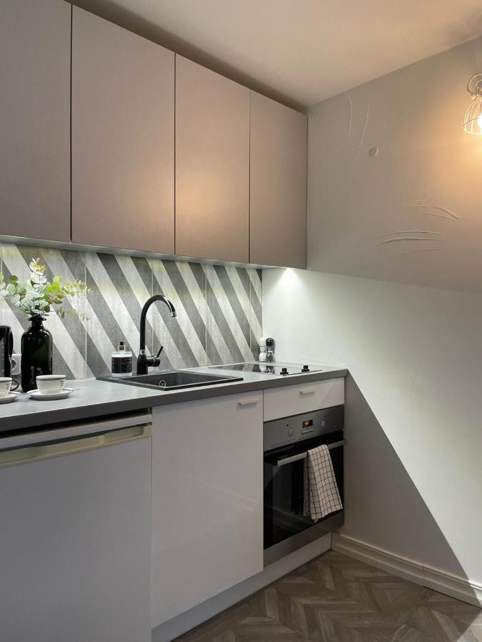 Linkuva Manor Apartment 考纳斯 外观 照片
