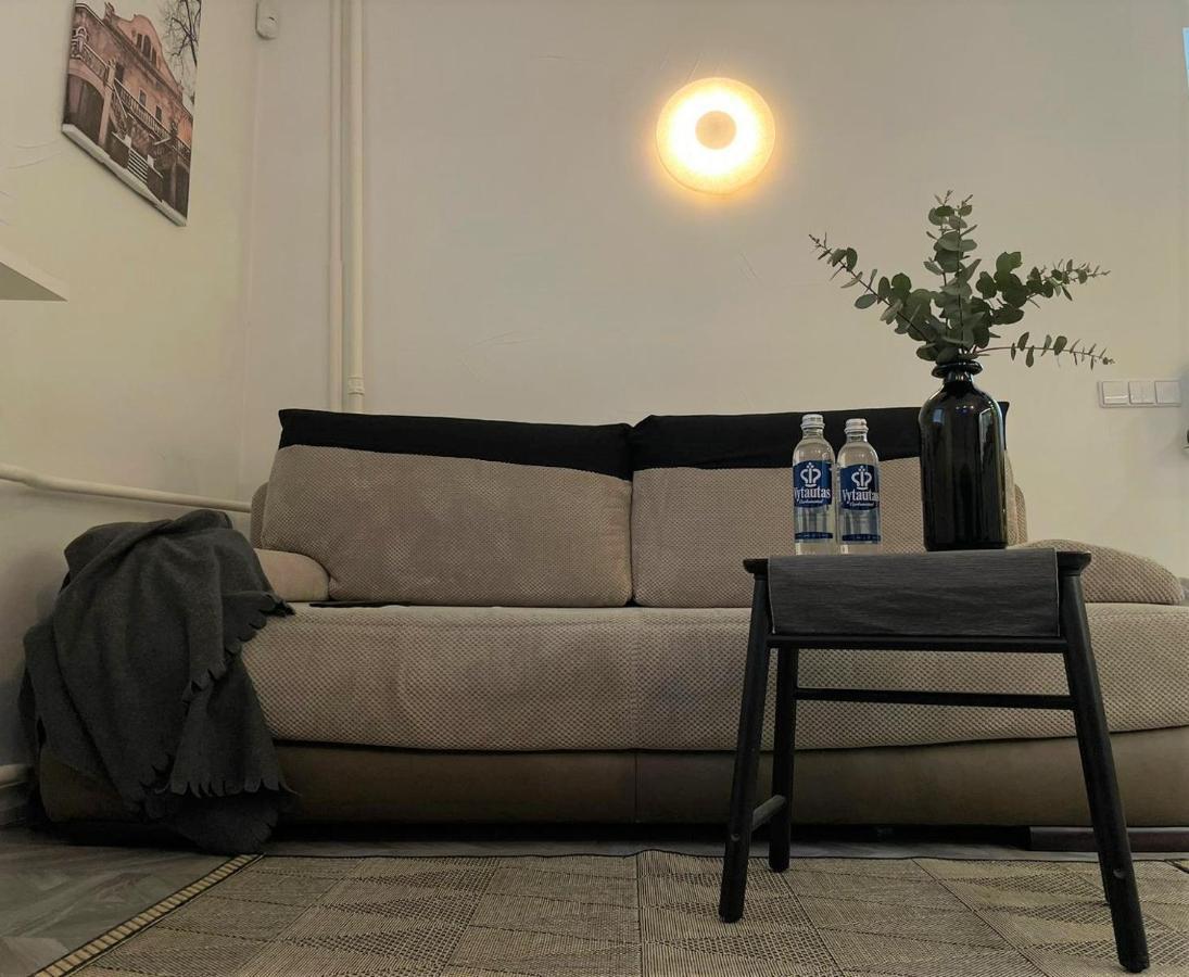 Linkuva Manor Apartment 考纳斯 外观 照片